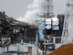Fukushima am 16.3.2011